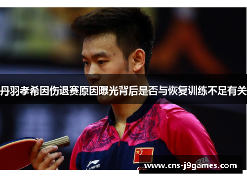 丹羽孝希因伤退赛原因曝光背后是否与恢复训练不足有关