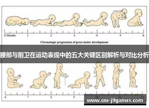 腰部与前卫在运动表现中的五大关键区别解析与对比分析